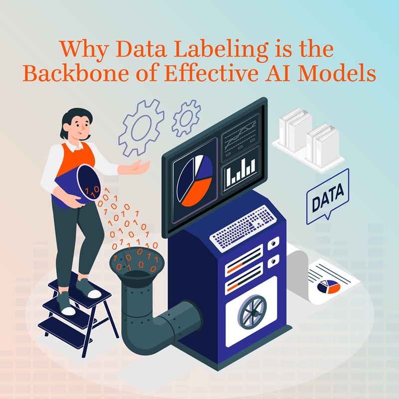 Why Data Labeling is the Backbone of Effective AI Models